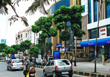 Web Design Services in Raj Bhavan